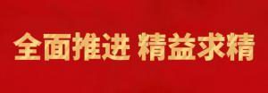 履踐致遠(yuǎn)向未來 | 洛陽(yáng)正大精英特訓(xùn)營(yíng)“磐石計(jì)劃”精益生產(chǎn)項(xiàng)目召開復(fù)盤追蹤會(huì)